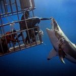 John Thulin - @johnnyrottn1 - Instagram