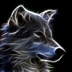 John Thuman - @johnthuman - Instagram