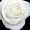 johnT1968 - @johnthuma - TikTok