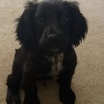 John Thurgood - @johnbodge36 - Instagram