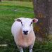 John Thwaite - Facebook