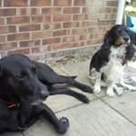 John Tickell - @johntickell - Instagram