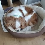 John Tillett - @john.tillett.100 - Instagram