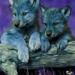 John Tim - Facebook
