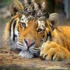 S_John_Timms - @s_john_timms - TikTok