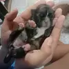 John karl Timon - @john.karl.timon - TikTok
