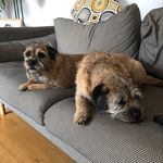 John Tinner - @tinner300 - Instagram