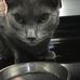 John Tipper - Facebook