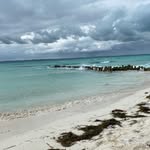 John Tippito - @johntippito - Instagram
