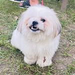 Jun - @john_tiugun - Instagram