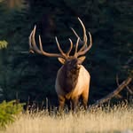 John Tobin - @tobinphoto - Instagram