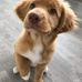 John Todd - Facebook
