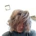 John Todd - Facebook