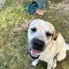 John Todd - @john.todd26 - TikTok