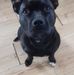 John Turner - Facebook