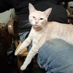 john tolle - @john.tolle.336 - Instagram