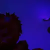 John Tolle - @user9250761939805 - TikTok