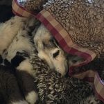 John Tollefsen - @tollefsenjohn - Instagram