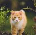 John Tomas - Facebook