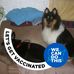 John Tomko - Facebook
