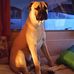 John Tonner - Facebook