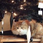 John Toth - @toth_john - Instagram