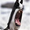 Johntothewick - @centipedeeeee - TikTok
