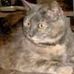 John Touchstone - Facebook