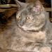 John Touchstone - Facebook