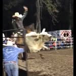 John Stout - @john.stout.98892 - Instagram