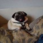 John Stout - @john.stout.71653 - Instagram