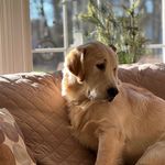 John Tramonti - @jjtramonti - Instagram