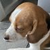 John Tran - Facebook