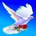 John Tran - Facebook