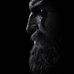 John Travis - Facebook