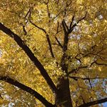 John Trefzger - @jrtrefzger - Instagram