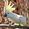 user6974977433345 - @johntriano379 - TikTok