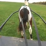 John Trotting - @johntrotting - Instagram