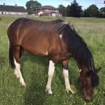 John trotting cooper - @johntrottingcooper - Instagram