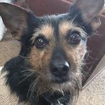 John Trumble - @john.trumble.75 - Instagram