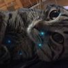 john_turan - @john_turan - TikTok