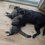 John Truszkowski - @john.truszkowski - Instagram