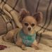 John Tucciarone - Facebook
