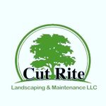 John tucciarone - @cut_rite_trees - Instagram