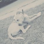 john - @johntukaroa - Instagram