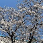 John - @johnmartintupyenevxh - Instagram