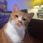 John Ross Tutor - @johnross_tutor - Instagram