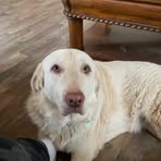 John Tuttle - Facebook
