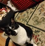 John Tuttle - Facebook