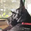 John Twining - @john.twining - TikTok